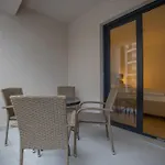 X *