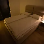 X *